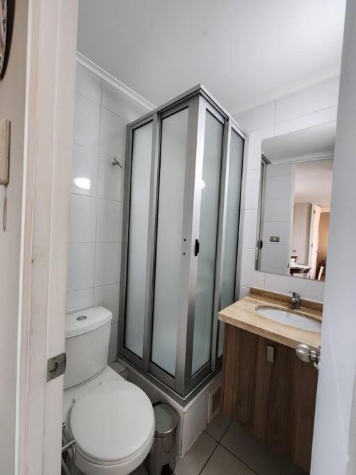 Acogedor Apartamento En Centro De Santiago. Ngoại thất bức ảnh