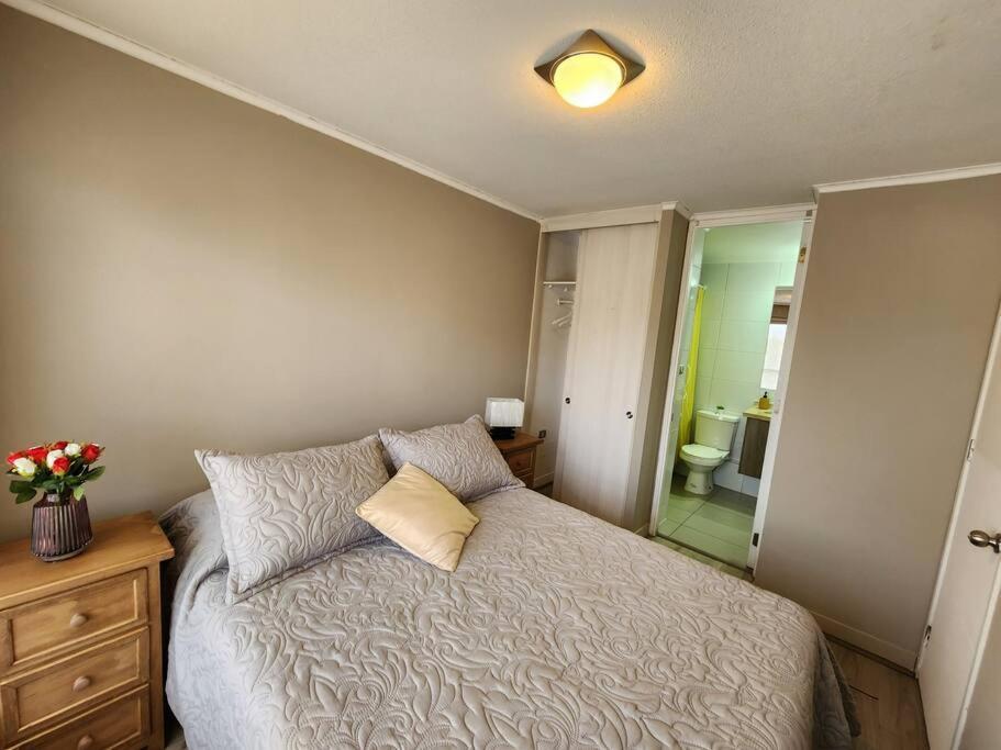 Acogedor Apartamento En Centro De Santiago. Ngoại thất bức ảnh